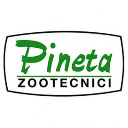 logo pineta_result